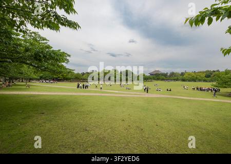 Das Kasuganoenchi-Feld im Nara-Park bietet eine große, offene Grasfläche, die von Besuchern bevölkert ist, die Freizeitaktivitäten genießen. Gelegen in Nara, Kansai-Region Stockfoto