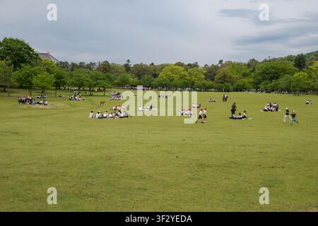 Das Kasuganoenchi-Feld im Nara-Park war mit Besuchern gefüllt, die den offenen Grünraum an einem bewölkten Tag genossen. Zahlreiche Gruppen und Familien wurden beim Picknicken beobachtet Stockfoto