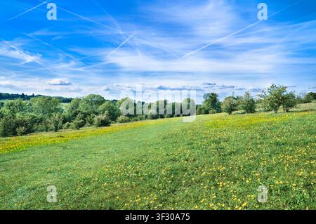 Farthing Downs, Teil der South London Downs National Nature Reserve, bestehend aus 121 Hektar Landschaft entlang der Grenze von Surrey und Croydon, Großbritannien Stockfoto