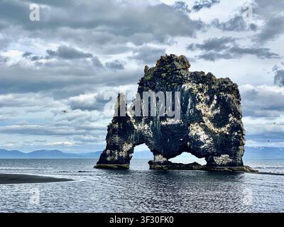 Hvítserkur-Felsen bei Niedrigwasser unter einem dramatischen Himmel im Norden Islands Stockfoto