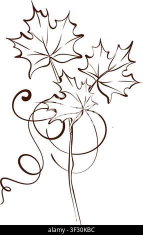 Vektorillustration einer Ahornzweige in Schwarz-Weiß-Feinliniengrafik, botanische Herbstblätter für Ernte-Branding, Briefpapier und saisonale Verpackungen Stock Vektor