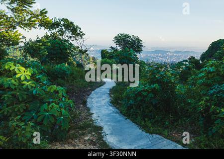 Ein malerischer Blick auf einen schmalen, kurvenreichen Betonweg, der durch üppige grüne Vegetation und Bäume auf einem Hügel führt, in der Stadt Samarinda. Stockfoto
