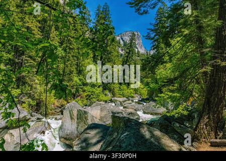 Schnell fließender Fluss, der über Granitblöcke durch einen dichten, lebendigen grünen Wald fließt, mit einem hoch aufragenden Granitgipfel in der Ferne sichtbar. Stockfoto