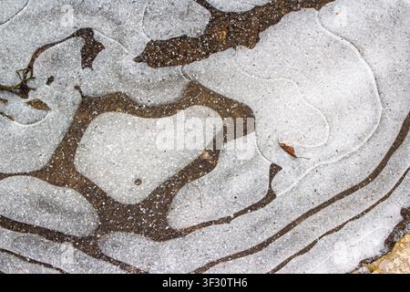 Kleine Muster aus natürlichem Eis, die sich auf einer flachen Pfütze gebildet haben, mit eingeschlossenen Luftblasen und rustikalen Herbstblättern, die in einem kalten Winterkristall eingefroren sind Stockfoto