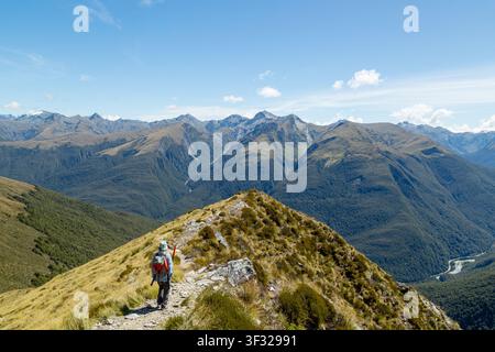 Ein Wanderer auf dem Brewster Track, der zurück ins Haast Valley hinuntergeht, mit Blick auf die Haast Mountains, Mount Aspiring National Park, Neuseeland Stockfoto