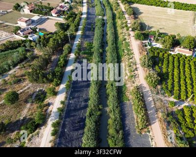 Luftbilddrohnenaufnahme des Restaurierungsprojekts des Flusses Segura in Murcia, Spanien, das grüne Ufer, landwirtschaftliche Felder und Wege zeigt Stockfoto