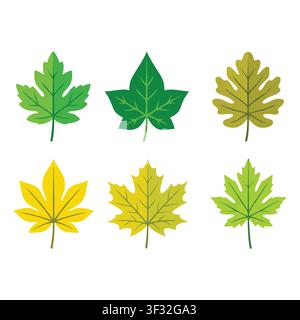 Helle Vektorillustration verschiedener Herbstblätter in lebendigen Grün-, Gelb- und Orangetönen für saisonale oder naturthemenbezogene Projekte. Stock Vektor