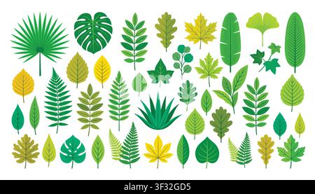 Helle und vielfältige Sammlung von Blatt-Vektorillustrationen in Grün-, Gelb- und Türkistönen, perfekt für naturthemenbezogene Designs und Projekte. Stock Vektor