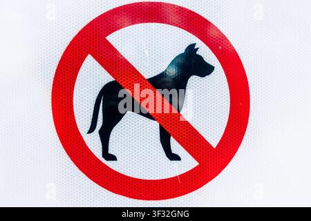 Rotes Schild mit der Aufschrift „Keine Hunde“ und schwarzer Hundesilhouette auf reflektierendem weißem Hintergrund, das darauf hinweist, dass Hunde nicht erlaubt sind Stockfoto