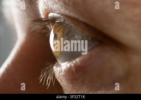 Nahaufnahme eines gesunden menschlichen Augenprofils Stockfoto