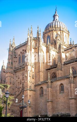 Salamanca, Spanien, 08, 08, 25, Majestätischer Blick auf die Kathedrale von Salamanca mit kunstvollen gotischen und barocken Architekturdetails, berühmtem Sandstein Stockfoto