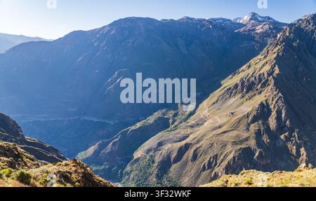 Eine panoramische Abendansicht zeigt die immense Tiefe und die steilen, sonnenbeschienenen Grate des Colca-Canyons in Peru, mit fernen Anden-Gipfeln unter einem klaren Himmel Stockfoto