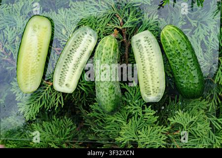 Ganze und geschnittene frische Gurke isoliert auf weißem Hintergrund Stockfoto