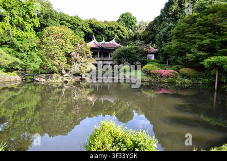 Friedlicher Teich in einem japanischen Garten, Tokio Stockfoto