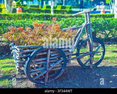 Vintage-Fahrrad umgebaut zu einem Pflanzenwagen. Rustikale Holzräder und Lenker tragen farbenfrohe Blumen. Eine sonnige Gartenszene unterstreicht den natürlichen Charme Stockfoto