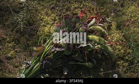 Frischer handgepflückter Wildblumenstrauß, der auf Moos in einem Wald mit farbenfrohen saisonalen Blumen und natürlichem Laub ruht Stockfoto