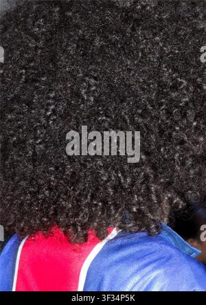 Rückansicht-Porträt von Kopf und Schultern eines Mannes mit eng gelocktem Haar Stockfoto
