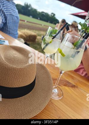 Cocktails mit Limette und Minze bei einem Poloturnier in der Nähe von Frankfurt am Main, Deutschland, mit dem Polofeld im Hintergrund. Stockfoto