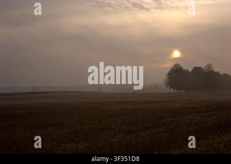 Nebliger Sonnenaufgang über einem ruhigen ländlichen Feld mit Silhouetten von Bäumen unter einem dunstigen Himmel, der eine friedliche, nostalgische und stimmungsvolle Landschaft schafft. Stockfoto