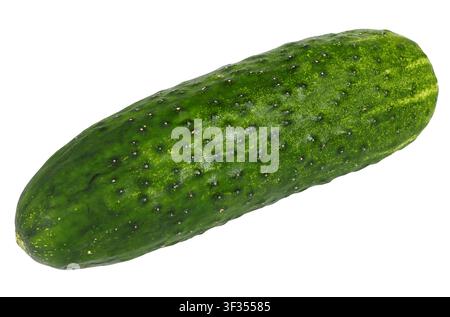 Gurke, die isoliert auf weißem Hintergrund Stockfoto