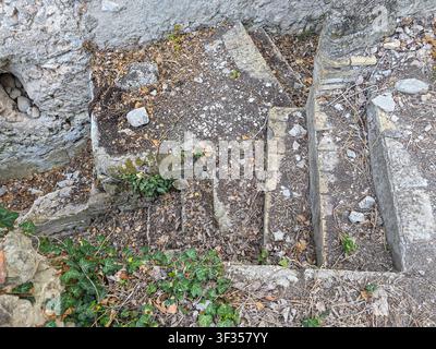 Steinstufen zeigen Anzeichen von Verfall, teilweise mit gefallenen Blättern und grünem Efeu bedeckt. Diese Szene spielt an einem verlassenen ländlichen Grundstück, das erscheint Stockfoto