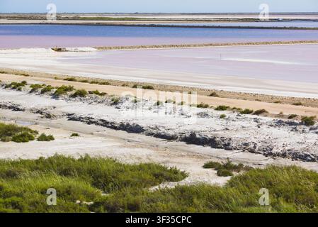 Weite Salzpfannen mit auffallend rosa und lila Verdampferteichen, umgeben von weißen Salzkrusten in der Camargue, Frankreich. Stockfoto