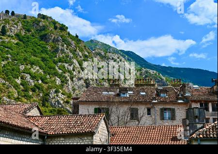 Altstadt-Panoramablick auf traditionelle alte steinerne Häuser mit terracottafarbenen Ziegeldächern, Schornsteinen und grünen Fensterläden, vor dem Hintergrund majestätischer grüner Felsberge und eines hellen blauen Himmels mit weißen Wolken. Ideales Konzept für europäische Reisen, historische Architektur, Tourismus, Landschaften Montenegro und mediterrane Kultur. mit roten Ziegeln vor Bergen und blauem Himmel. Hochwertiges Foto Stockfoto