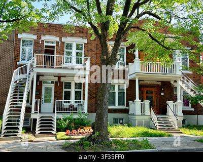 Traditionelle Wohnhäuser aus rotem Backstein mit Außentreppen und Balkonen in einer belaubten Straße in Villeray, Montreal, Quebec, Kanada. Stockfoto