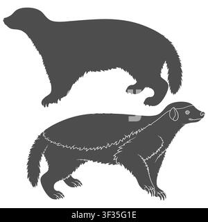 Satz von Schwarz-Weiß-Illustrationen mit Honigwiesel. Isolierte Vektorobjekte auf Weiß. Stock Vektor