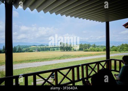 Prachtvolle Sommeransicht von einer Holzterrasse in Biei Hokkaido mit goldenen landwirtschaftlichen Feldern, grünen Bäumen und fernen Bergen unter einem hellen Himmel. Stockfoto