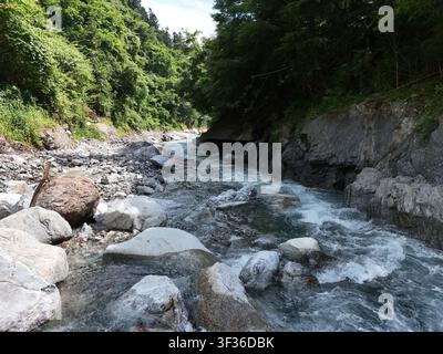 Raschendes Wasser fließt über glatte, moosige Steine Stockfoto