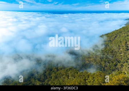 Drohnen-Luftbild der dichten und tief hängenden Wolkendecke über der Cumberland-Ebene und der Penrith-Seen-Region, gesehen von den Hawkesbury Heights aus Stockfoto