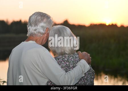 Ältere umarmen sich in einer ruhigen Sonnenunterganglandschaft, Rückansicht. Momente einer liebevollen Beziehung zwischen zwei Älteren in natürlicher Umgebung. grau und Stockfoto