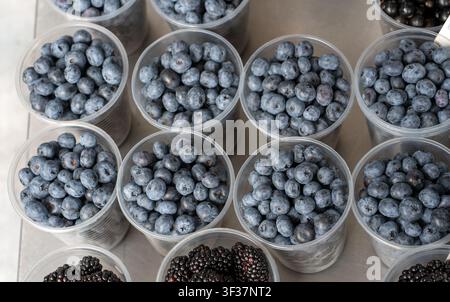 Blaubeeren auf einem Marktstand. Blaubeeren in Schalen werden auf dem Markt verkauft. Stockfoto