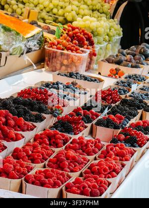 Bunte Auslage mit frischen Himbeeren, Blaubeeren, Brombeeren, Trauben und Johannisbeeren auf dem lebhaften Zentralmarkt in Ljubljana, Slowenien. Stockfoto