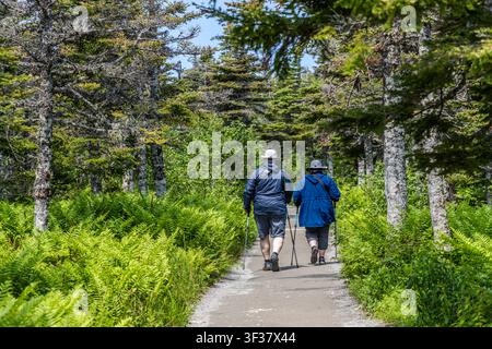Zwei Wanderer mit Trekkingstöcken wandern den Skyline Trail durch den Nadelwald im Cape Breton Highlands National Park, Nova Scotia, Kanada. Der Weg ist eine der bekanntesten Wanderstrecken auf dem Cabot Trail und endet an einer Aussichtsplattform mit Blick auf die Küste. Cape Breton Highlands National Park, Nova Scotia, Kanada Stockfoto