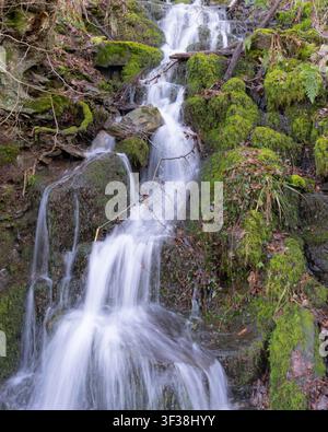 Foto eines kleinen Waldwasserfalls, der über moosbedeckte Felsen fließt und idyllische Waldlandschaften zeigt, ideal für Natur- und Reise-Themen Stockfoto