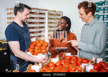 Drei Erwachsene überprüfen frische Tomaten, verwalten Lagerbestände in einem Lagerhaus Stockfoto