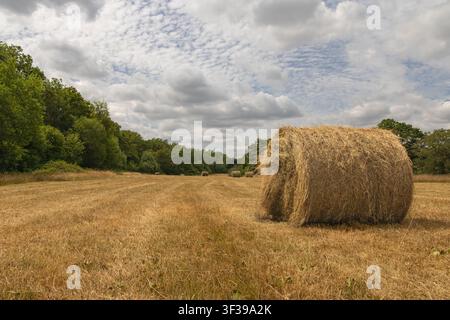 Großer runder Heuballen, der auf einem abgeernteten Feld unter dramatischen Sommerwolken in der ländlichen Landschaft von Wiltshire, England, ruht Stockfoto