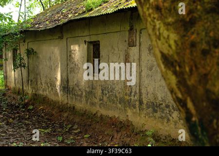 Ein altes, verwittertes Gebäude mit abblätternden Wänden und einem verrosteten Wellblechdach in einem Waldgebiet. Stockfoto