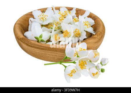 Jasminblüten in Holzschale isoliert auf weißem Hintergrund mit voller Feldtiefe Stockfoto