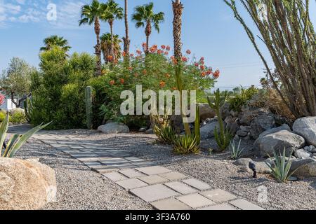 Ein ruhiger Pfad windet sich durch einen üppigen Wüstengarten. Er weckt Gefühle von Entspannung und Leben im Freien. Stockfoto
