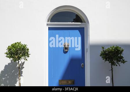 Nahaufnahme einer blauen Tür mit Messingtürklopfer, rundem Bogensfenster und zwei Pflanzen vor weiß gestrichenem Hintergrund, Chelsea, London, Großbritannien Stockfoto