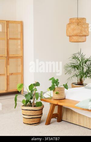 Böhmisches Schlafzimmer-Interieur mit Monstera-Pflanze in einem geflochtenen Korb und Rattan-Möbeln, natürlicher Wohnraumdeko, ein Rattan-Schrank und ein geflochtener Lampenschirm Stockfoto