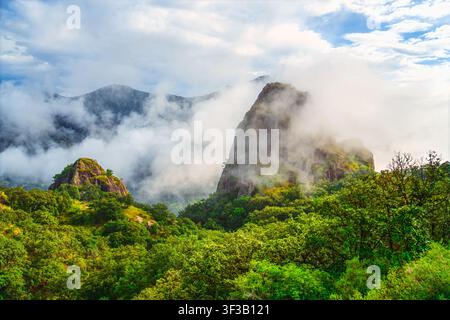 Neblige Wolken umhüllen hoch aufragende grüne Gipfel. Ein lebendiger Waldboden erstreckt sich unter dem nebligen Himmel. Berge erheben sich in Stille, eingehüllt in sanftem, treibendem Nebel Stockfoto