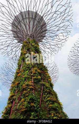 Nahaufnahme von unten: Einzelner Supertree Vertical Garden Tower mit üppigen tropischen Pflanzen in Singapur Stockfoto