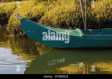 Ein türkisfarbenes Boot ruht ruhig auf ruhigem, grünem Wasser Stockfoto