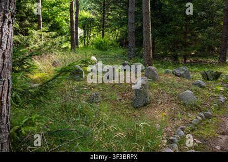 Scenischer Natursteinpfad, der durch eine sonnige grüne Waldlichtung mit Felsen, hohen Kiefern und üppigem Sommergras führt, Außennaturlandschaft Stockfoto