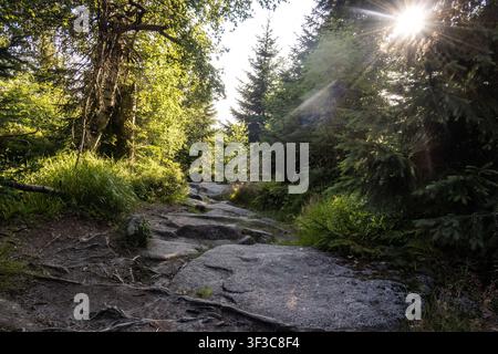 Die berühmten Himmelsleiter-Steinstufen führen durch Granitblöcke zum Gipfel des Berges Lusen im Sommer. Stockfoto