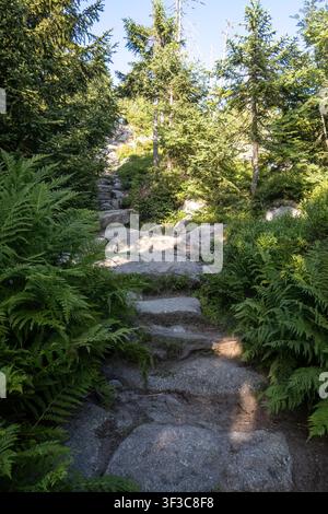 Die berühmten Himmelsleiter-Steinstufen führen durch Granitblöcke zum Gipfel des Berges Lusen im Sommer. Stockfoto